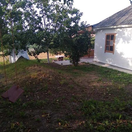 Соколине Гніздо Villa Dmitrenki Dış mekan fotoğraf