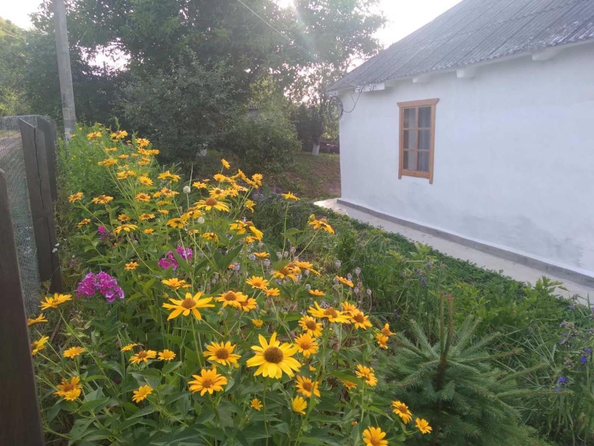 Соколине Гніздо Villa Dmitrenki Dış mekan fotoğraf