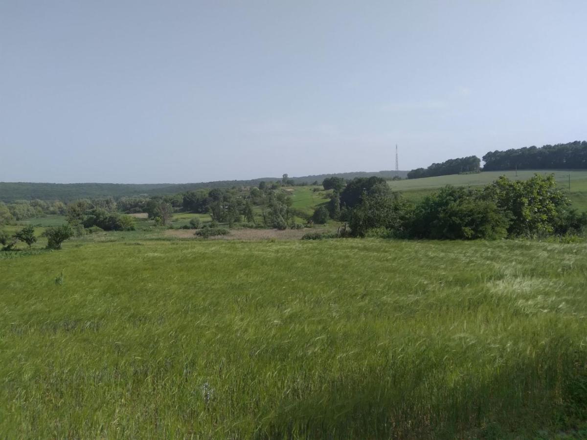 Соколине Гніздо Villa Dmitrenki Dış mekan fotoğraf