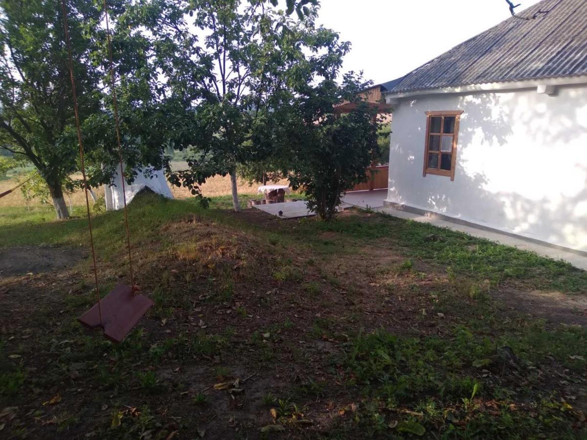 Соколине Гніздо Villa Dmitrenki Dış mekan fotoğraf