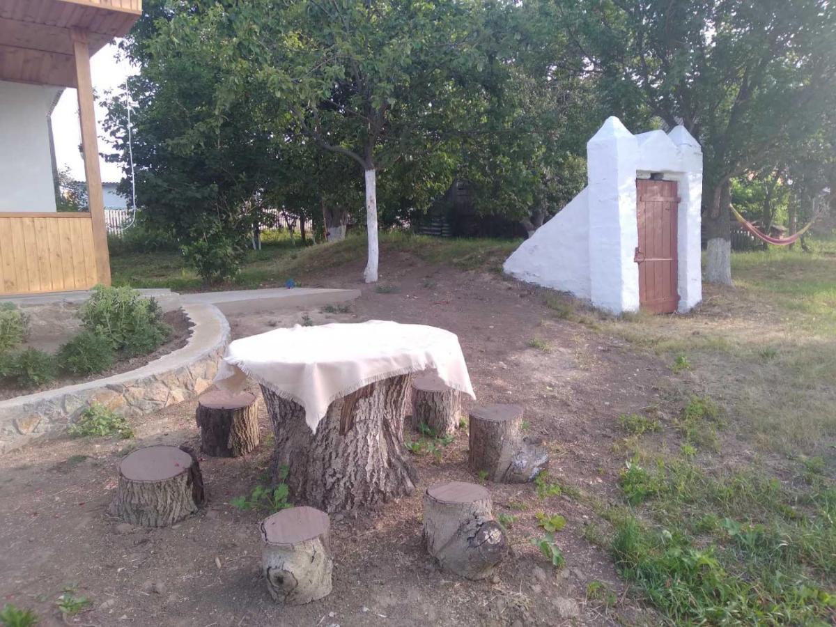 Соколине Гніздо Villa Dmitrenki Dış mekan fotoğraf